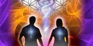 Le Conseil des Neuf : Divin par Nature